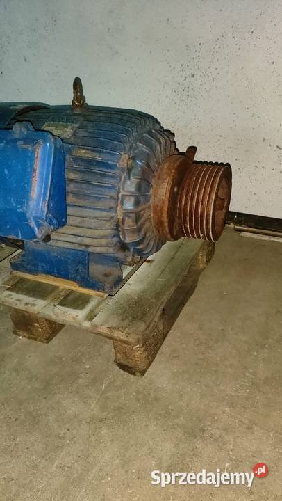 Silnik elektryczny 45kw 2960obrmin CELMA świętokrzyskie Suchedniów