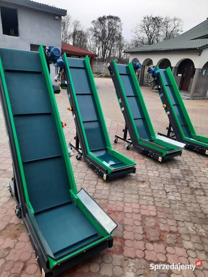 Taśmociąg przenośnik taśmowy do pakowania warzyw Łowicz