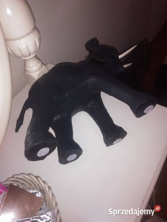 słoń naturalistycznie wyglądający Katowice