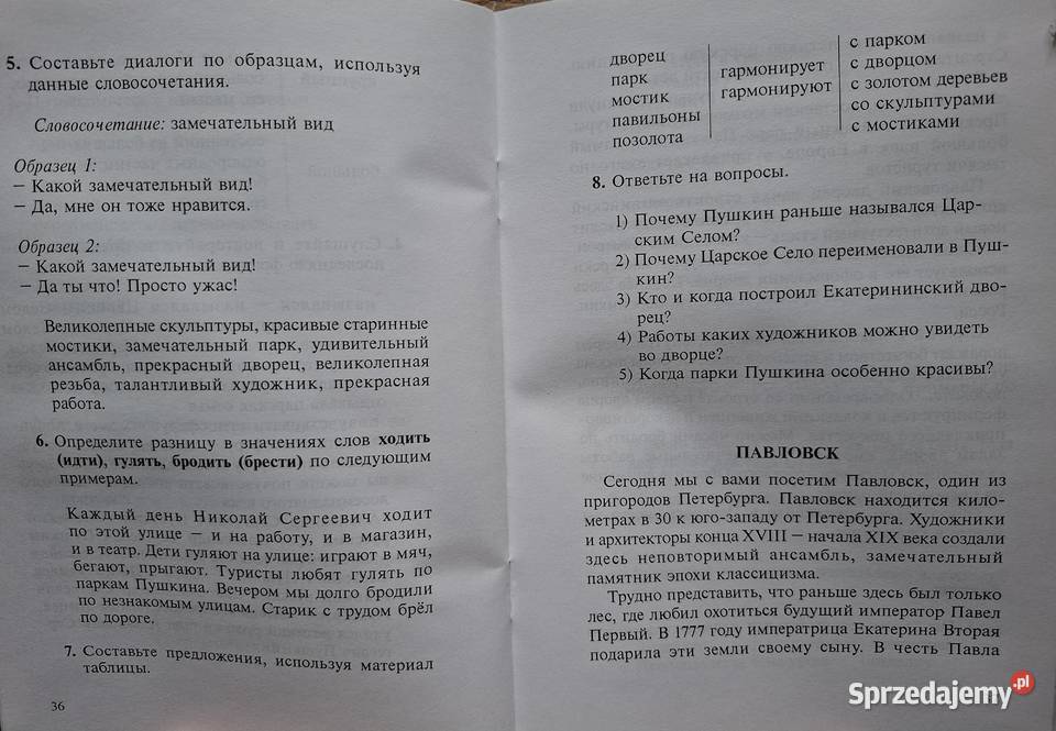 Spacer Petersburgu DVD książka średnio Kraków