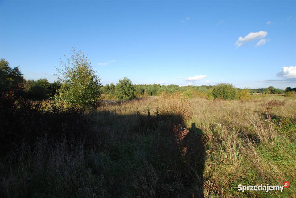 sprzedaży działki 1533m2 Zbrza świętokrzyskie