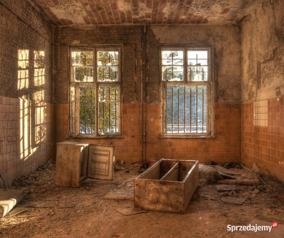 Oczyszczanie śmierci domowej i odgrzybianie Dezynfekcja i sterylizacja Olkusz