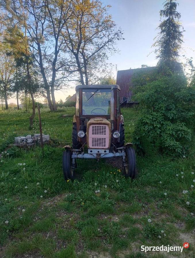 Ciągnik rolniczy URSUS C330 świętokrzyskie Nowy Korczyn sprzedam