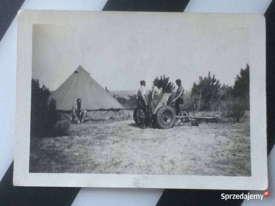 1059 Trzy zdjęcia Szczecin sprzedam