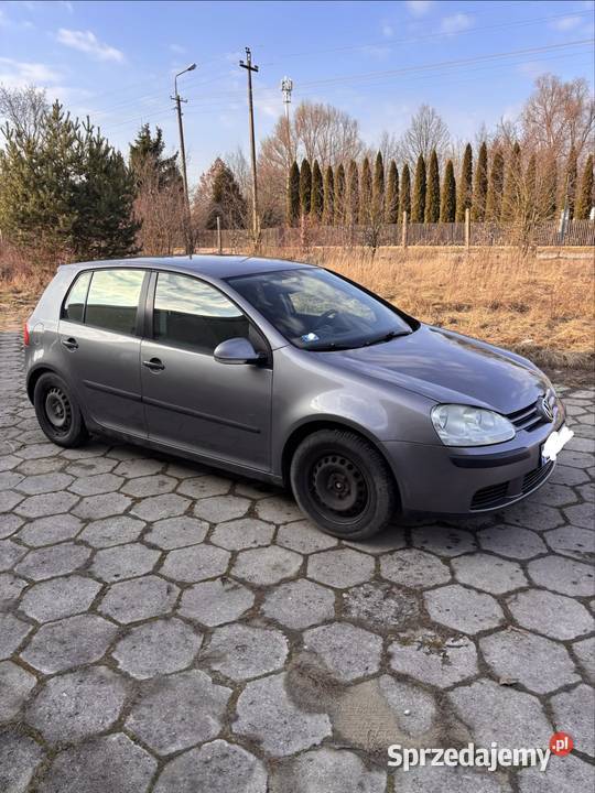 2006 Volkswagen Golf V 14 75 GAZ Bez Rdzy Golf