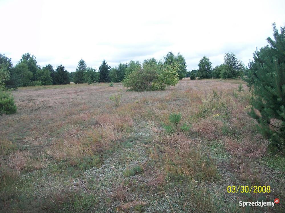 działka rekreacyjna rzeką Wkrą 1800 m2 Prusocin sprzedam