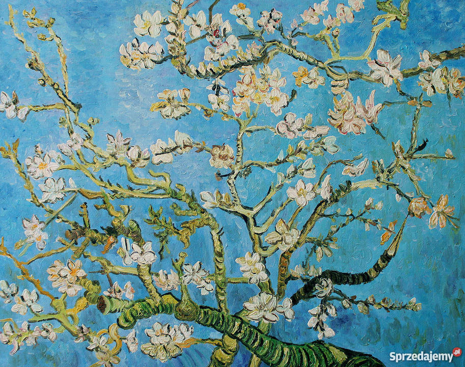 Obraz olejny Migdałowiec wg van Gogha Namalowany Kraków sprzedam