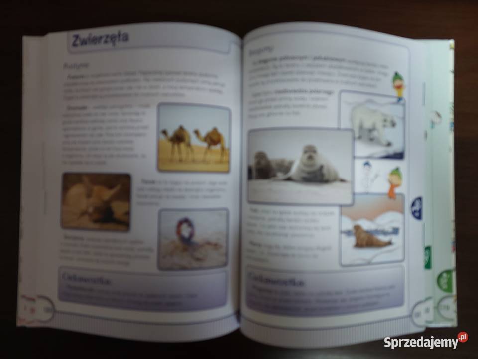 Encyklopedia Świat wokół nas Wydawnictwo SBM śląskie Tarnowskie Góry