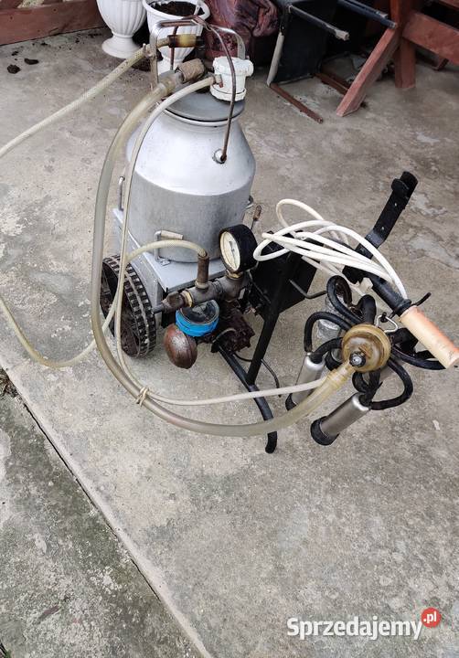 Dojarka konwiowa nieuszkodzony wielkopolskie Morzyczyn sprzedam