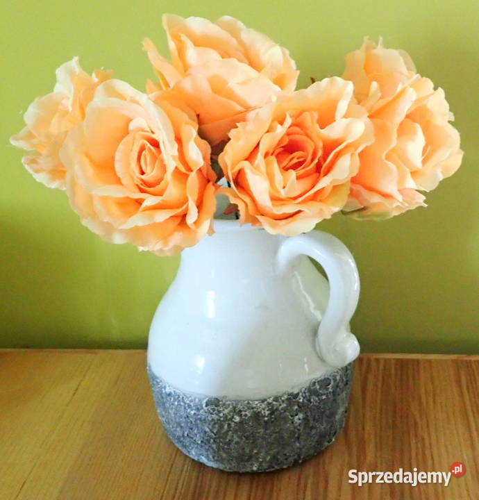 Róża rozwinięta brzoskwiniowa 1 śr 9 P1414 Siewierz