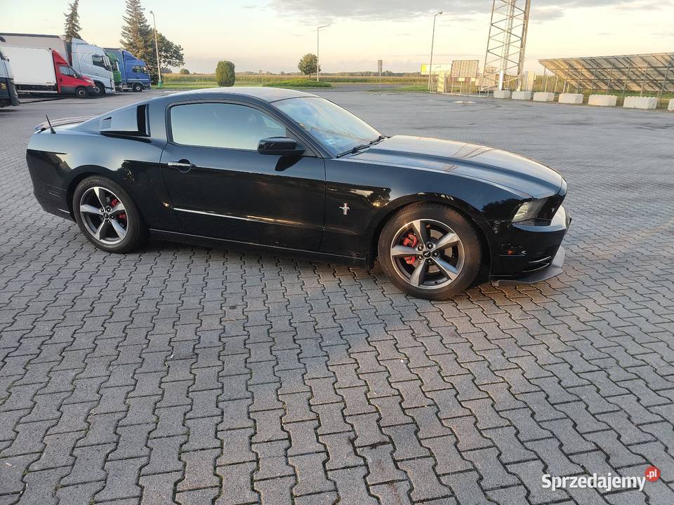 Sprzedam FORDA MUSTANGA Leszno