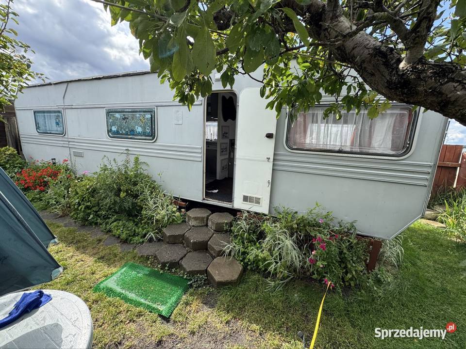 Domki holenderskie przyczepy Campingowe pomorskie Rewa
