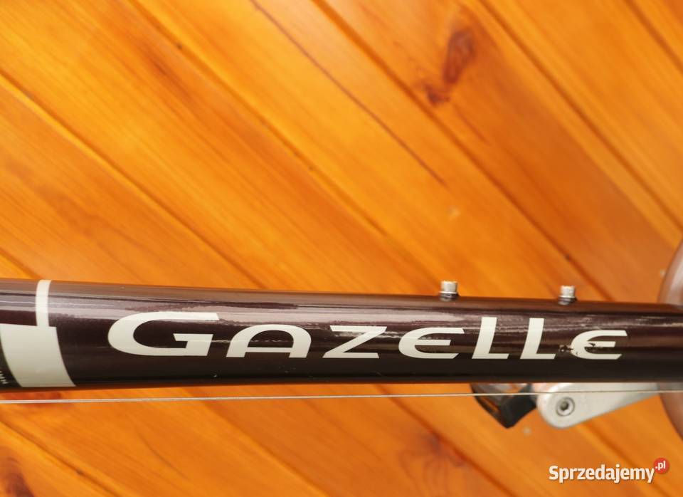 Rower męski Gazelle Geneve Gold Line H 57 I inne sprzedam