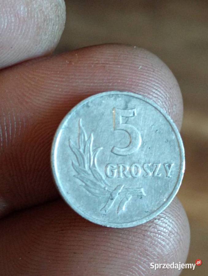 Sprzedam 5 groszy 1958 r bzm Chełm