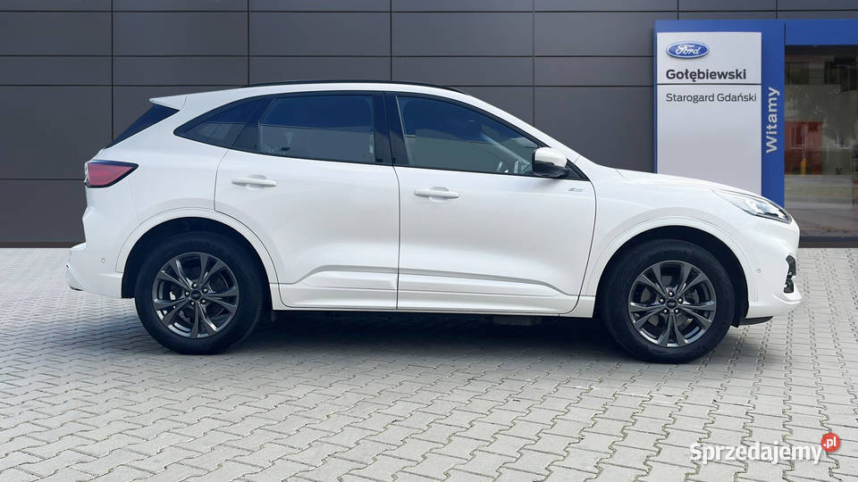 Ford Kuga 25 PHEV FWD STLine Starogard Gdański