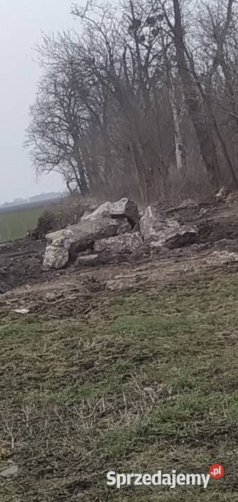 GRUZ kamień cegła ziemia Pałczyn sprzedam