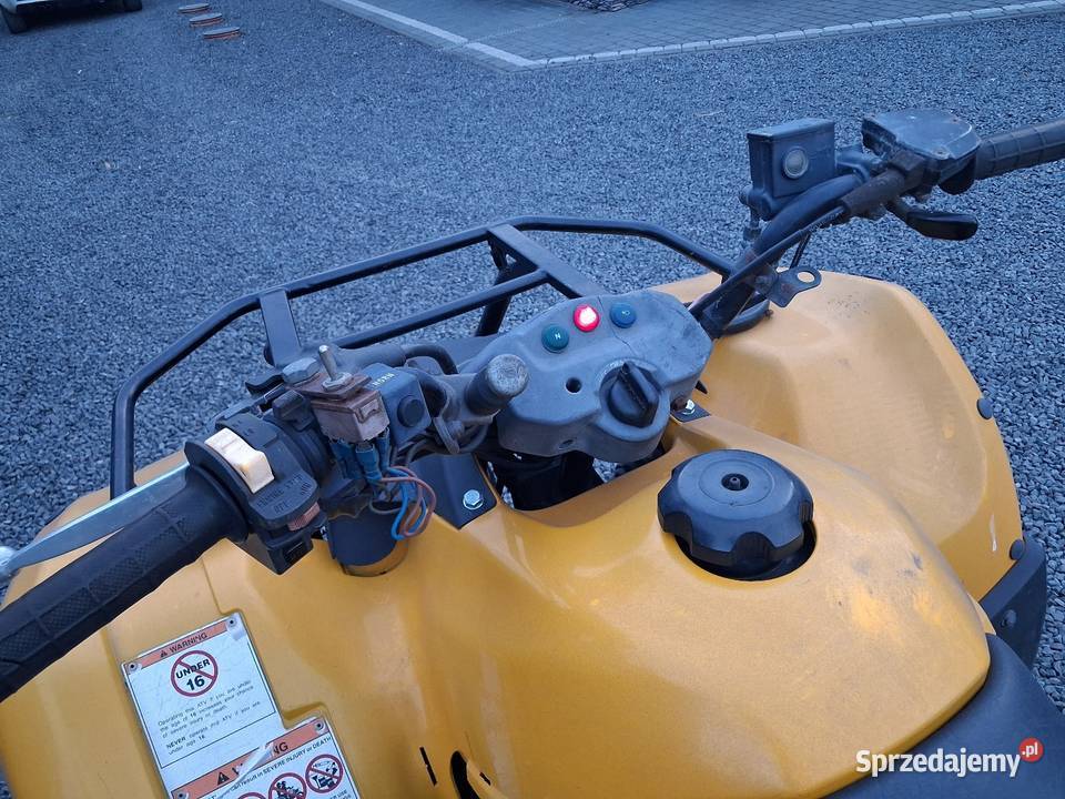 Quad suzuki ozark 250