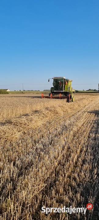 Sprzedam claas dominatora 85 nieuszkodzony Lipsko sprzedam