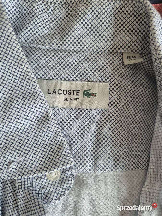 Zestaw 9 męskich koszul Wrocław sprzedam