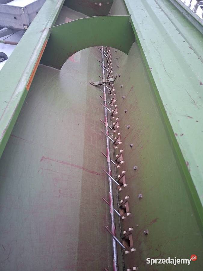 Siewnik amazone świętokrzyskie