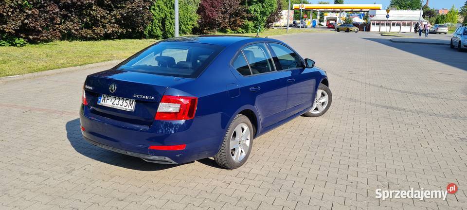Skoda Octavia 2016r 20tdi 150 Miękinia