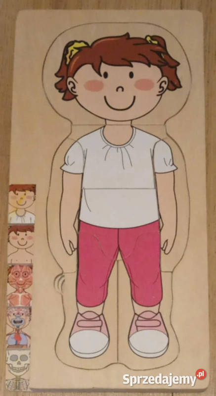 Warstwowe drewniane puzzle Anatomia człowieka Aleksandrów Łódzki