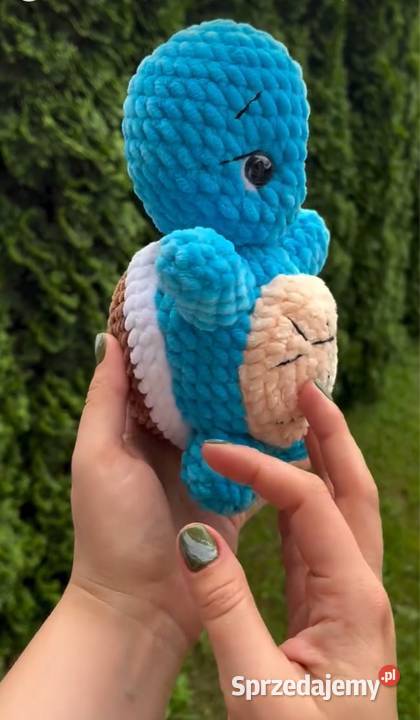 Pokmon Squirtal Plewiska