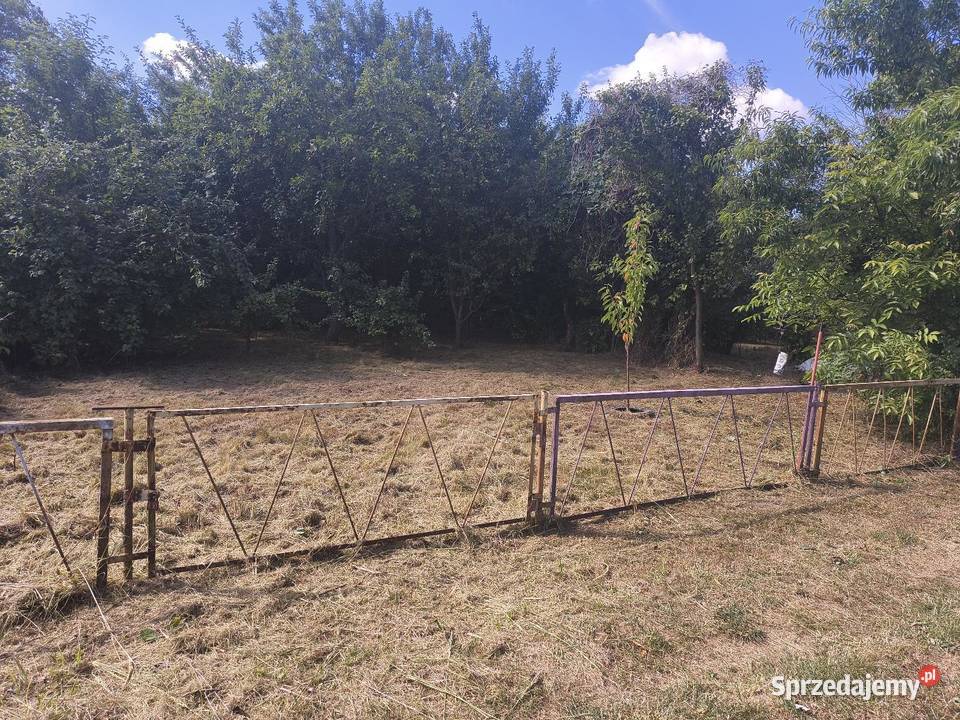 Działka ogrodowa ROD Nowa Sól 2800