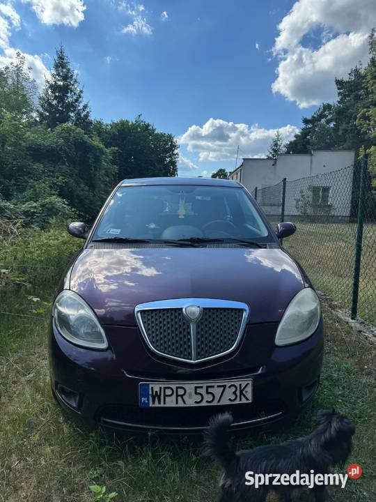 Lancia ypsilon 13 multijet Marki