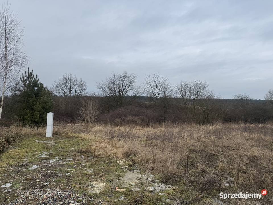 Działka budowlana 1554 m Tryszczyn k Bydgoszczy Sprzedaż kujawsko-pomorskie sprzedam
