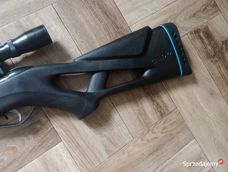 Gamo Whisper IGT 45 mm wielkopolskie Poznań
