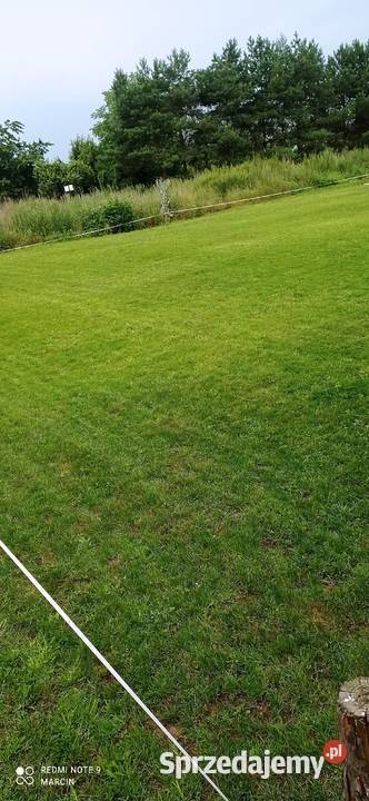 DZIAŁKA REKREACYJNA NA ROD wielkopolskie Trzcianka