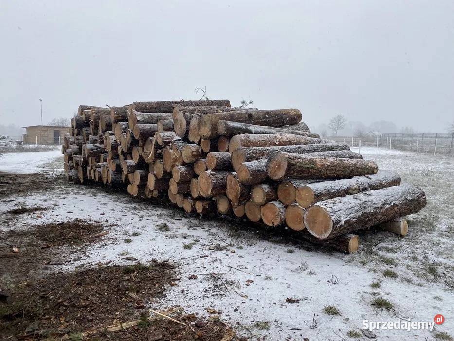Drewno opałowe sosna opał cięte grube