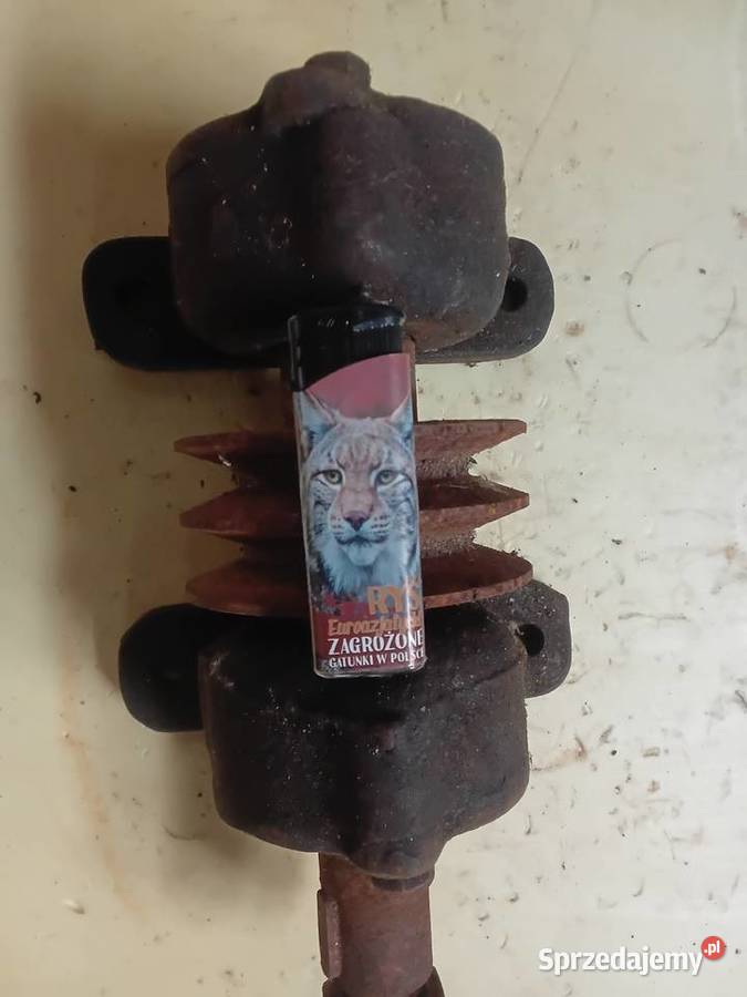 Wałek z szajba masywny Milejewo