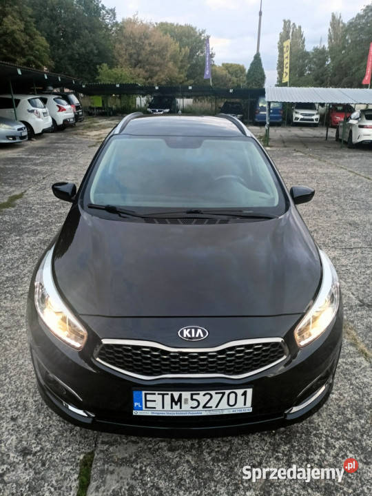 Kia Ceed pierwszy właściciel niski przebieg II Samochody osobowe Tomaszów Mazowiecki