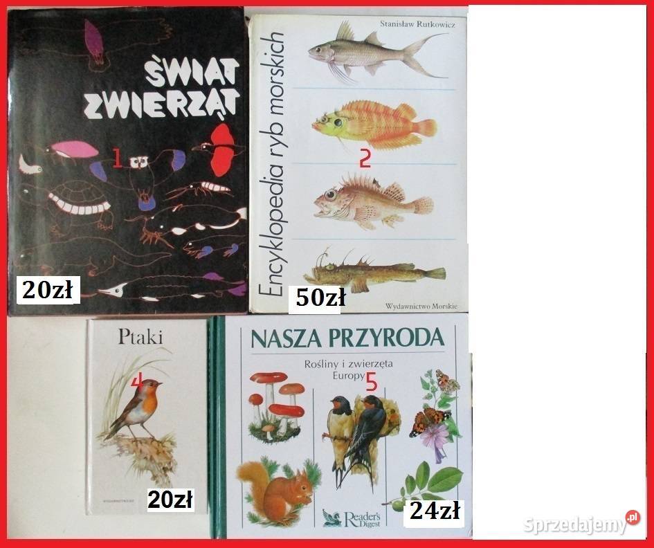 Nasza przyroda rośliny i zwierzęta Łódź sprzedam