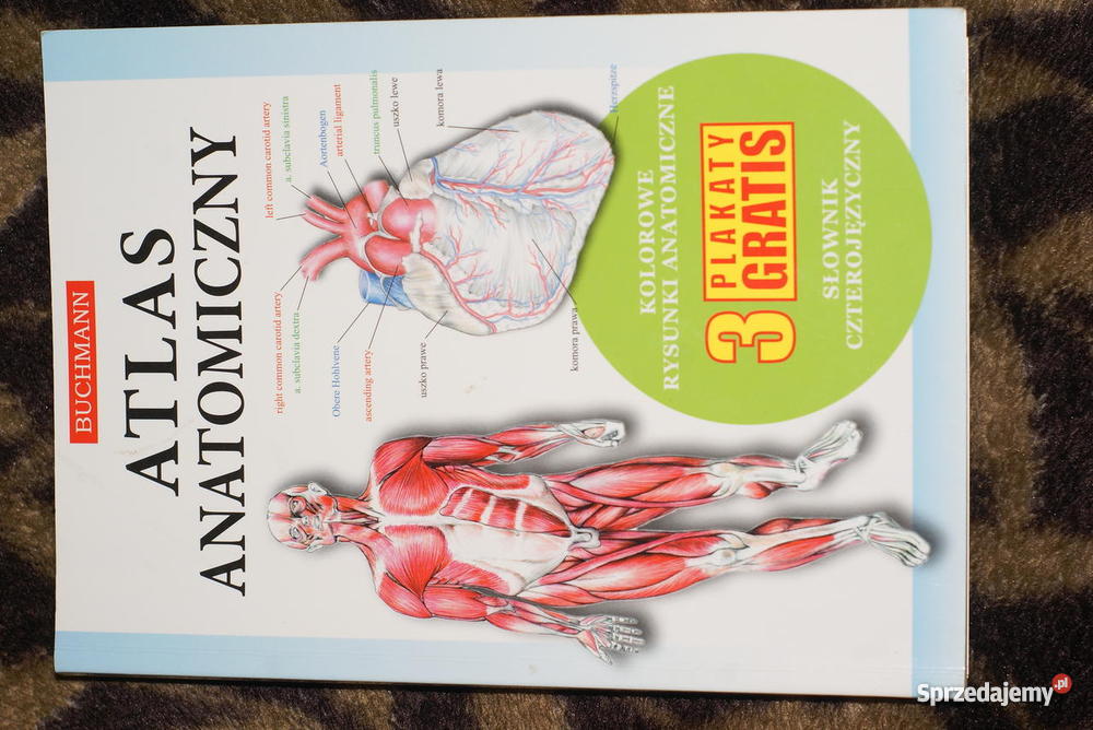 Atlas anatomiczny wyd BUCHMANN 3 plakaty w środk lubuskie Świebodzin sprzedam