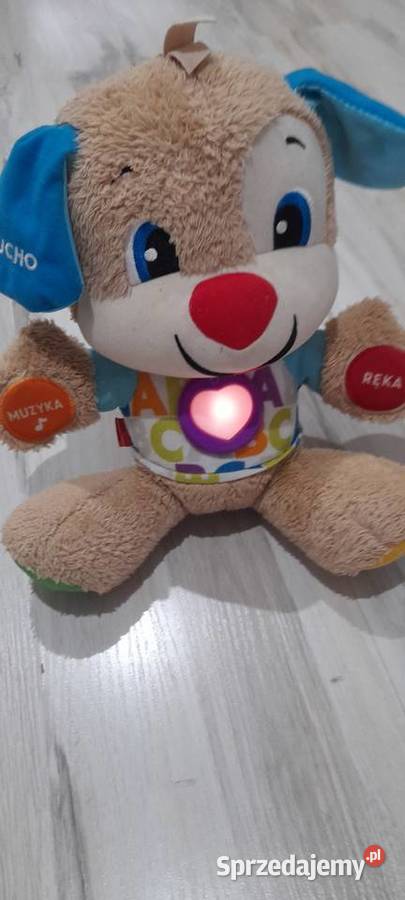 Piesek fisher promocja