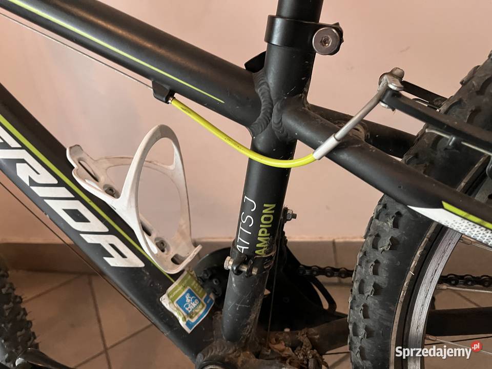 Merida Champion Matts Legnica