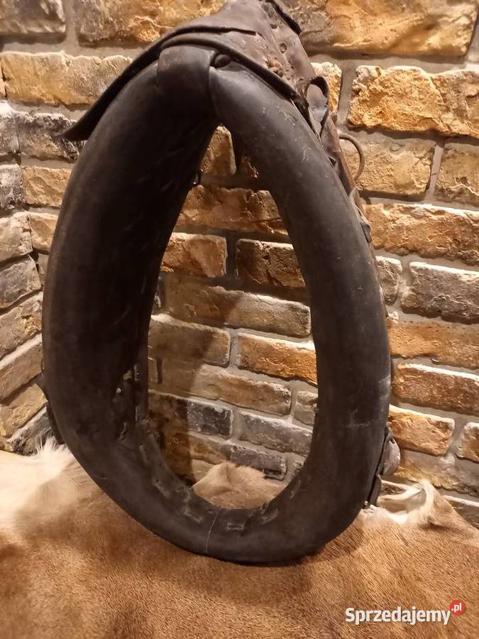 chomąto homąto homonto chomonto Gdańsk