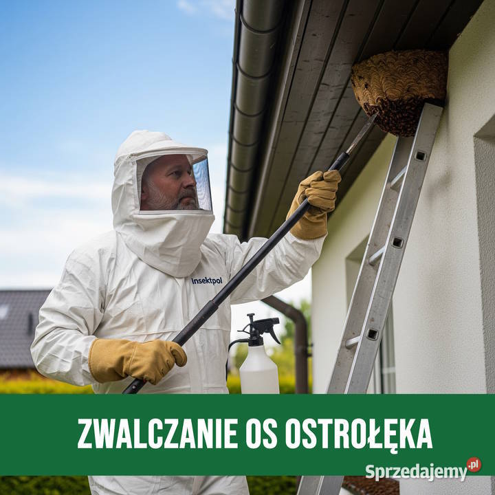 Zwalczanie Os Ostrołęka Usuwanie Gniazd