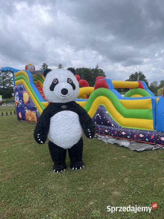 Wynajmujemy duże maskotki chodzące Mega Panda