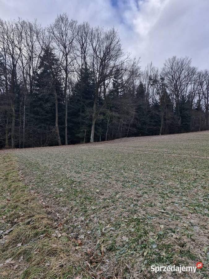 Sprzedam działkę 175ha budowlano rolna las 17500m2 Sprzedaż