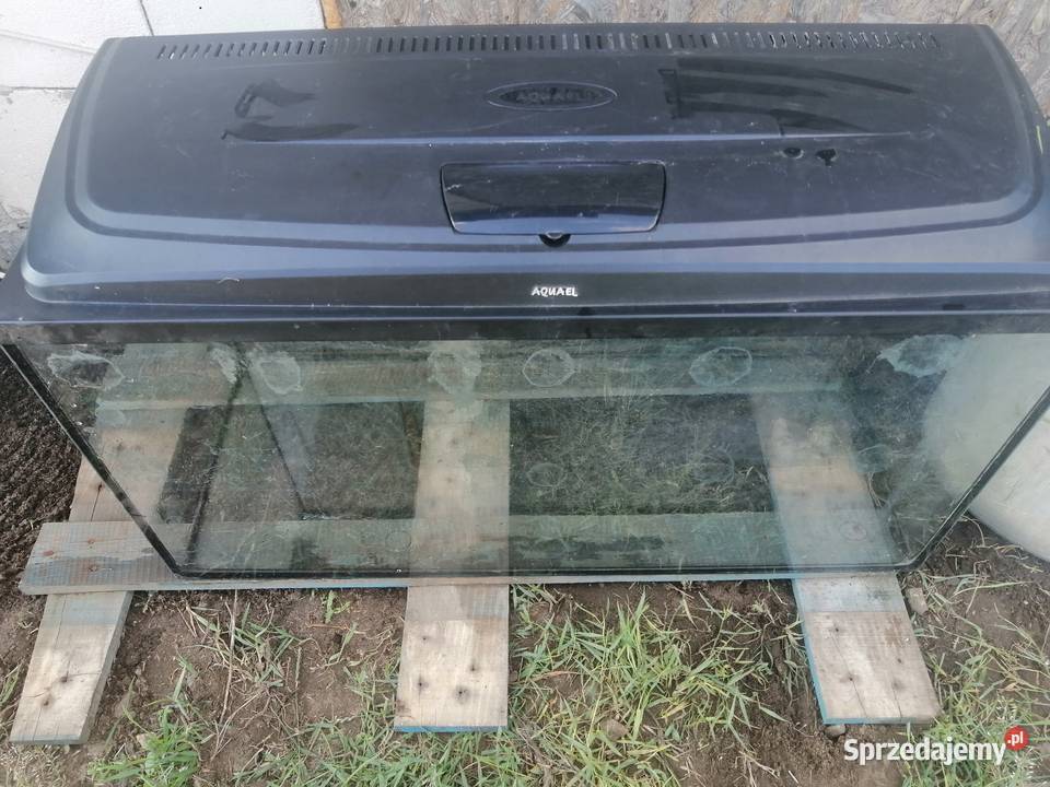 Akwarium z pokrywą mazowieckie Żyrardów