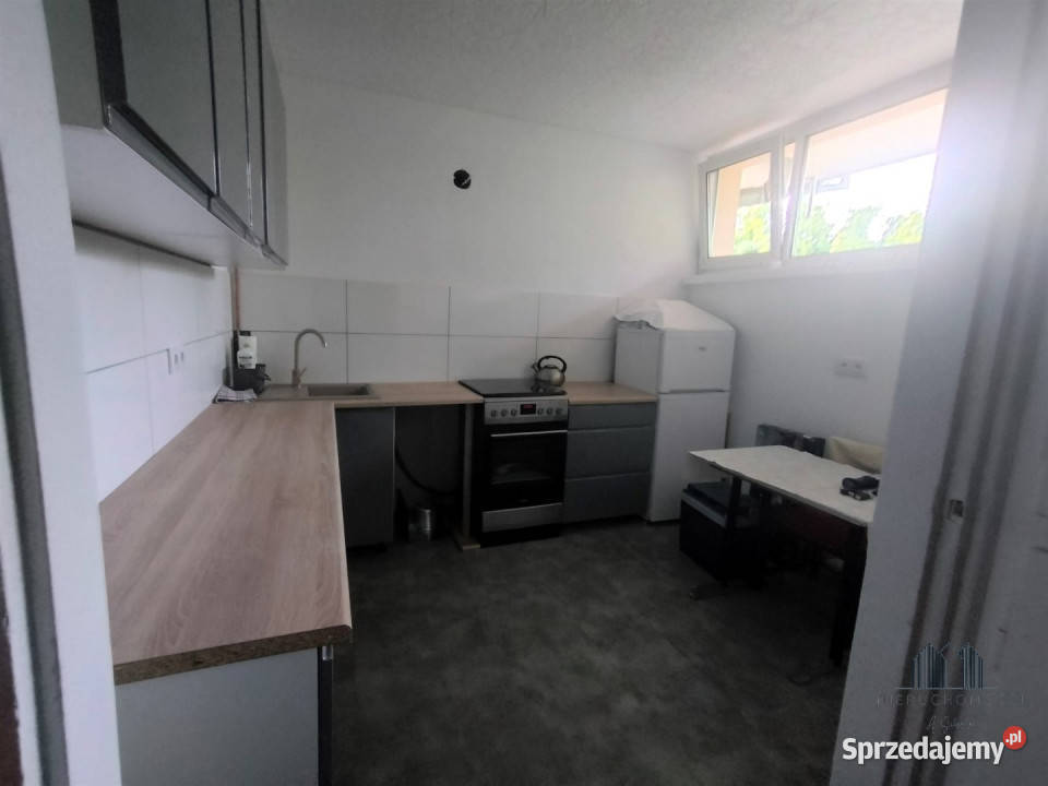 Mieszkanie 3451m2 1pokojowe Zgorzelec Wynajem