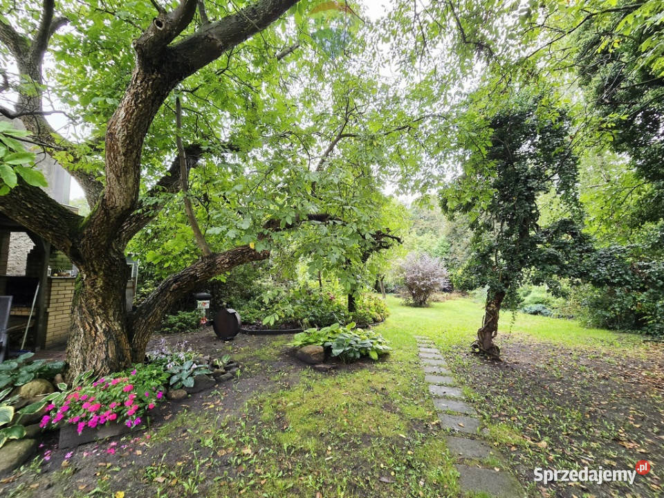 Opalenica 4pokojowe mieszkanie do remontu Liczba pokoi 4