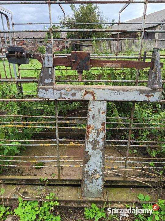 Waga Jamiołki-Piotrowięta