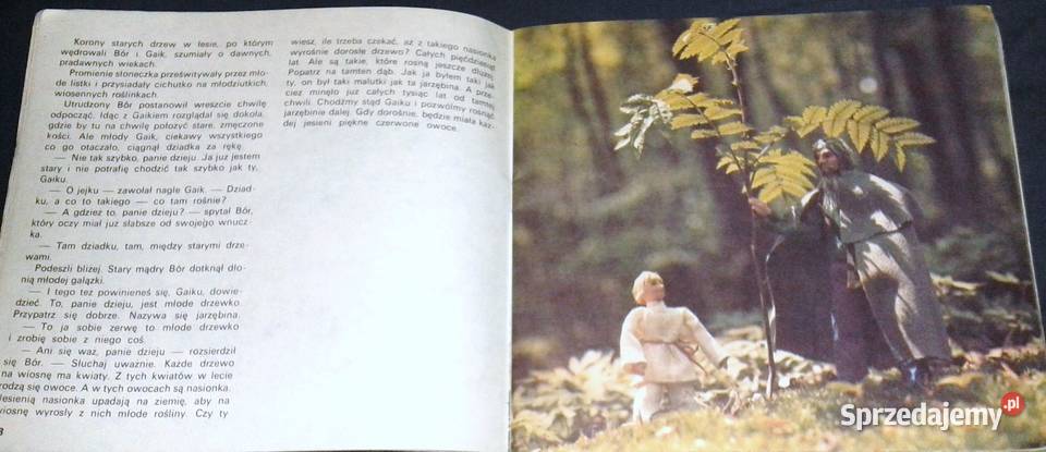 Bór i Gaik w wiosennym lesie Jerzy Michał Chełm sprzedam