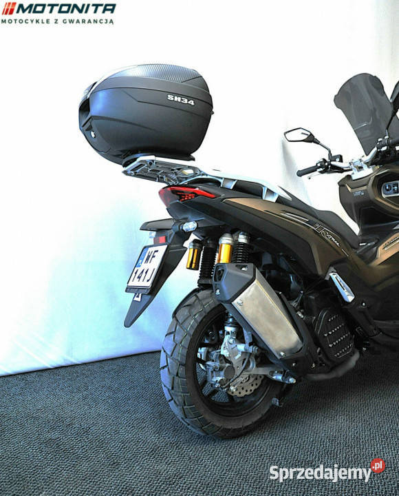 Barton XTrail Podkowa Leśna