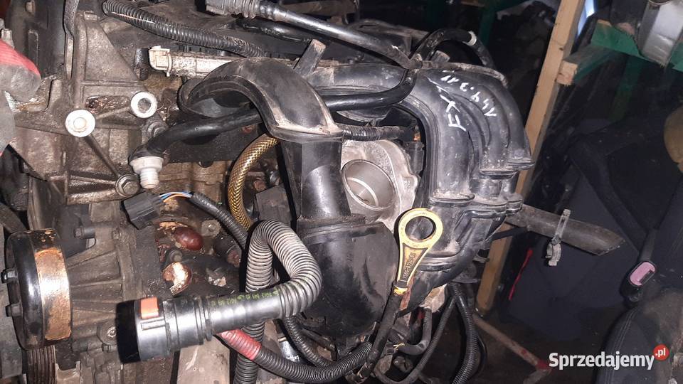 FXJB silnik kompletny Ford Fusion 149 Fiesta mk6 Korzeńsko sprzedam